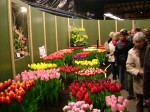 [Show Creil 2006_0205Image0023.JPG]